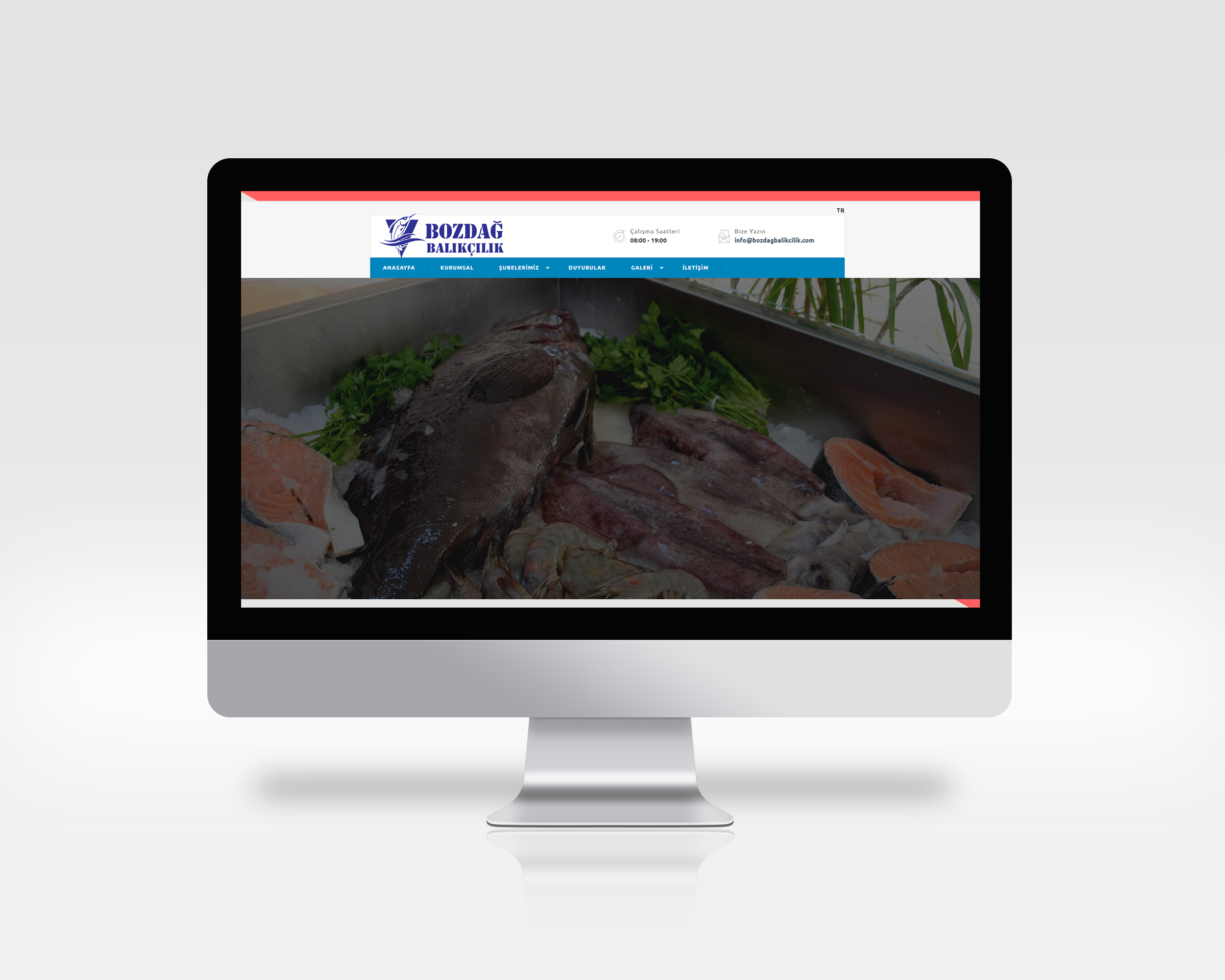 Bozdağ Balıkçılık ( Web Sitesi )
